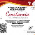 Ampliar imagen: certificate 33