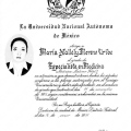 Ampliar imagen: certificate 4