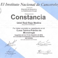 Ampliar imagen: certificate 8