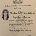 Ampliar imagen: certificate 5