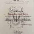 Ampliar imagen: certificate 2