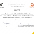 Ampliar imagen: certificate 7
