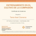 Ampliar imagen: certificate 1