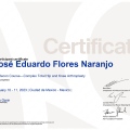 Ampliar imagen: certificate 11