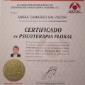 Ampliar imagen: certificate 15