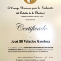 Ampliar imagen: certificate 13