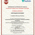 Ampliar imagen: certificate 9