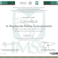 Ampliar imagen: certificate 12