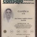 Ampliar imagen: certificate 1