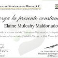 Ampliar imagen: certificate 14