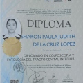 Ampliar imagen: certificate 15