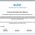 Ampliar imagen: certificate 1
