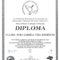 Ampliar imagen: certificate 11
