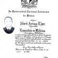 Ampliar imagen: certificate 3