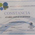 Ampliar imagen: certificate 13