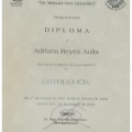 Ampliar imagen: certificate 2