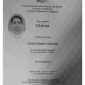 Ampliar imagen: certificate 3
