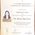 Ampliar imagen: certificate 3