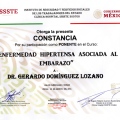 Ampliar imagen: certificate 6