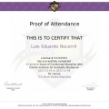 Ampliar imagen: certificate 2