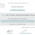 Ampliar imagen: certificate 1