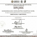 Ampliar imagen: certificate 5
