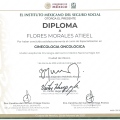 Ampliar imagen: certificate 6