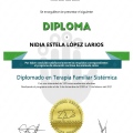 Ampliar imagen: certificate 25