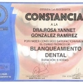 Ampliar imagen: certificate 6