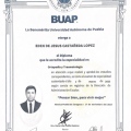 Ampliar imagen: certificate 5