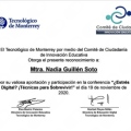 Ampliar imagen: certificate 8