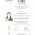 Ampliar imagen: certificate 4