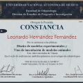 Ampliar imagen: certificate 4