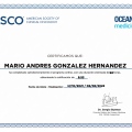 Ampliar imagen: certificate 2