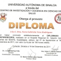 Ampliar imagen: certificate 7