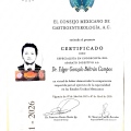 Ampliar imagen: certificate 4