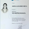 Ampliar imagen: certificate 3