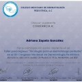 Ampliar imagen: certificate 6