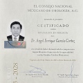 Ampliar imagen: certificate 3