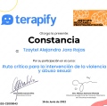 Ampliar imagen: certificate 4
