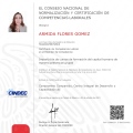 Ampliar imagen: certificate 3