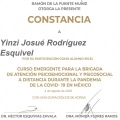 Ampliar imagen: certificate 10