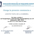 Ampliar imagen: certificate 4