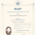 Ampliar imagen: certificate 1