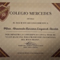 Ampliar imagen: certificate 4