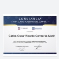 Ampliar imagen: certificate 15