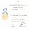 Ampliar imagen: certificate 2