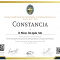 Ampliar imagen: certificate 5