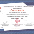 Ampliar imagen: certificate 2