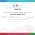 Ampliar imagen: certificate 6